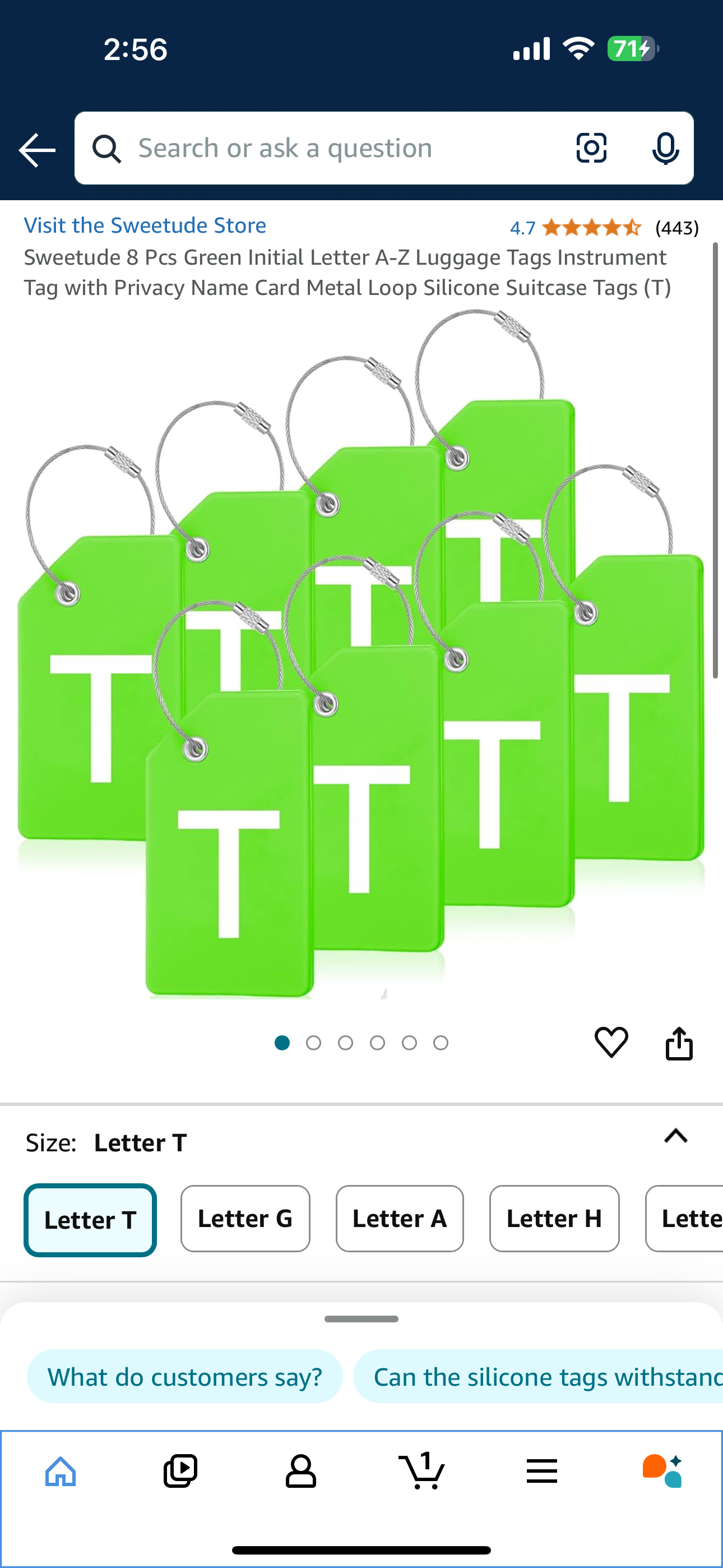 Sweetude 8 Pcs Green Initial Letter A-Z Luggage Tags Instrument Tag with Privacy Name Card Metal Loop Silicone Suitcase Tags (T)