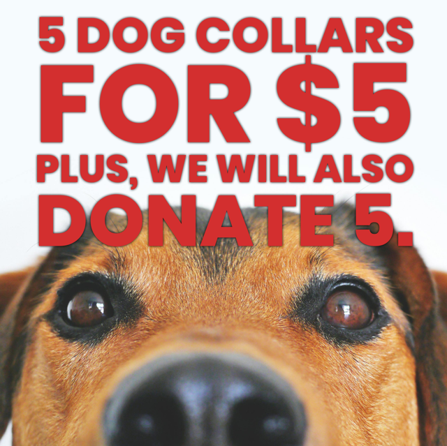 Donation Drive For Melissa's Second Chances/Heart of America Humane Society - Dog Collars