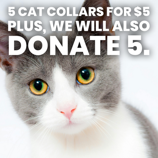 Donation Drive For Melissa's Second Chances/Heart of America Humane Society - Cat Collars