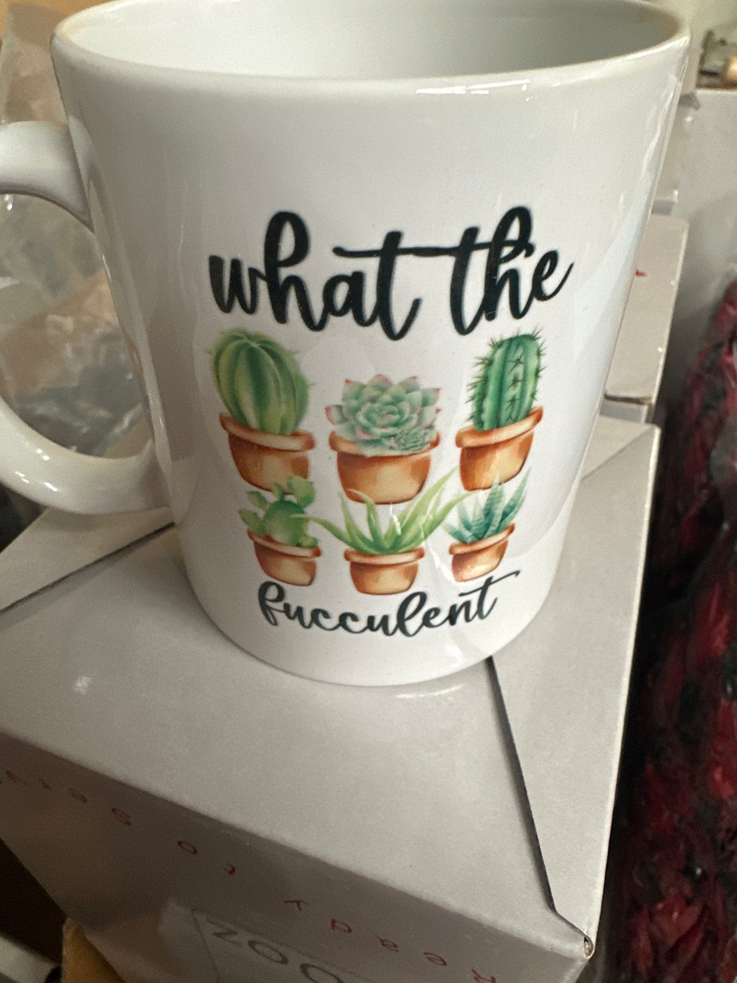 Succulent Mug