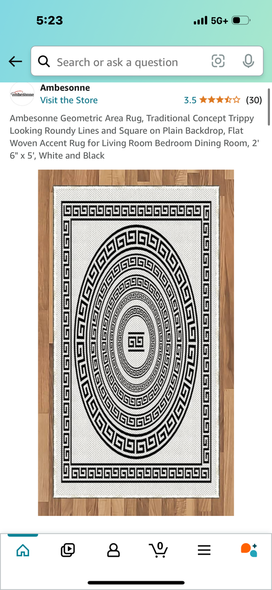 Ambesonne Geometric Area Rug, Traditional Concept Trippy Looking Roundy Lines and Square on Plain Backdrop, Flat Woven Accent Rug for Living Room Bedroom Dining Room, 2' 6" x 5', White and Black