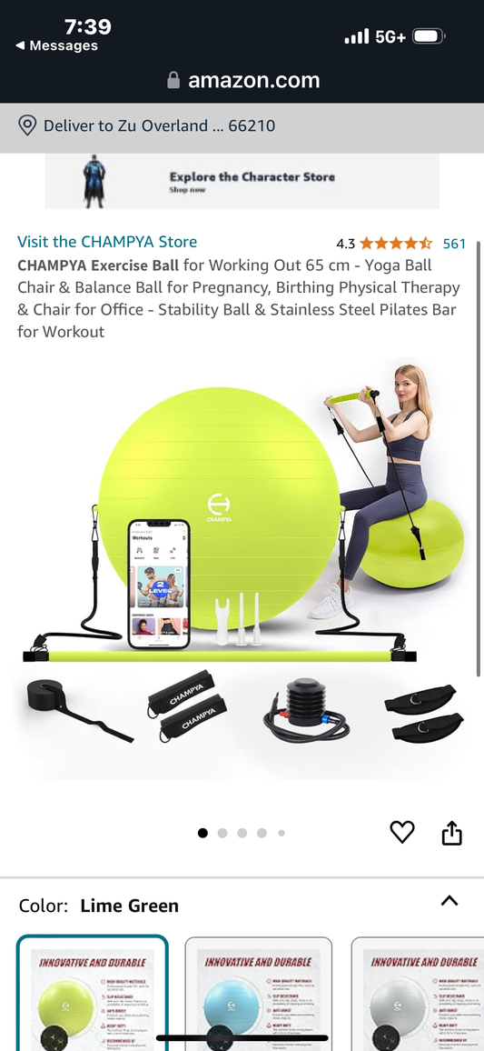 𝗖𝗛𝗔𝗠𝗣𝗬𝗔 𝗘𝘅𝗲𝗿𝗰𝗶𝘀𝗲 𝗕𝗮𝗹𝗹 for Working Out 65 cm - Yoga Ball Chair & Balance Ball for Pregnancy, Birthing Physical Therapy & Chair for Office - Stability Ball & Stainless Steel Pilates Bar for Workout