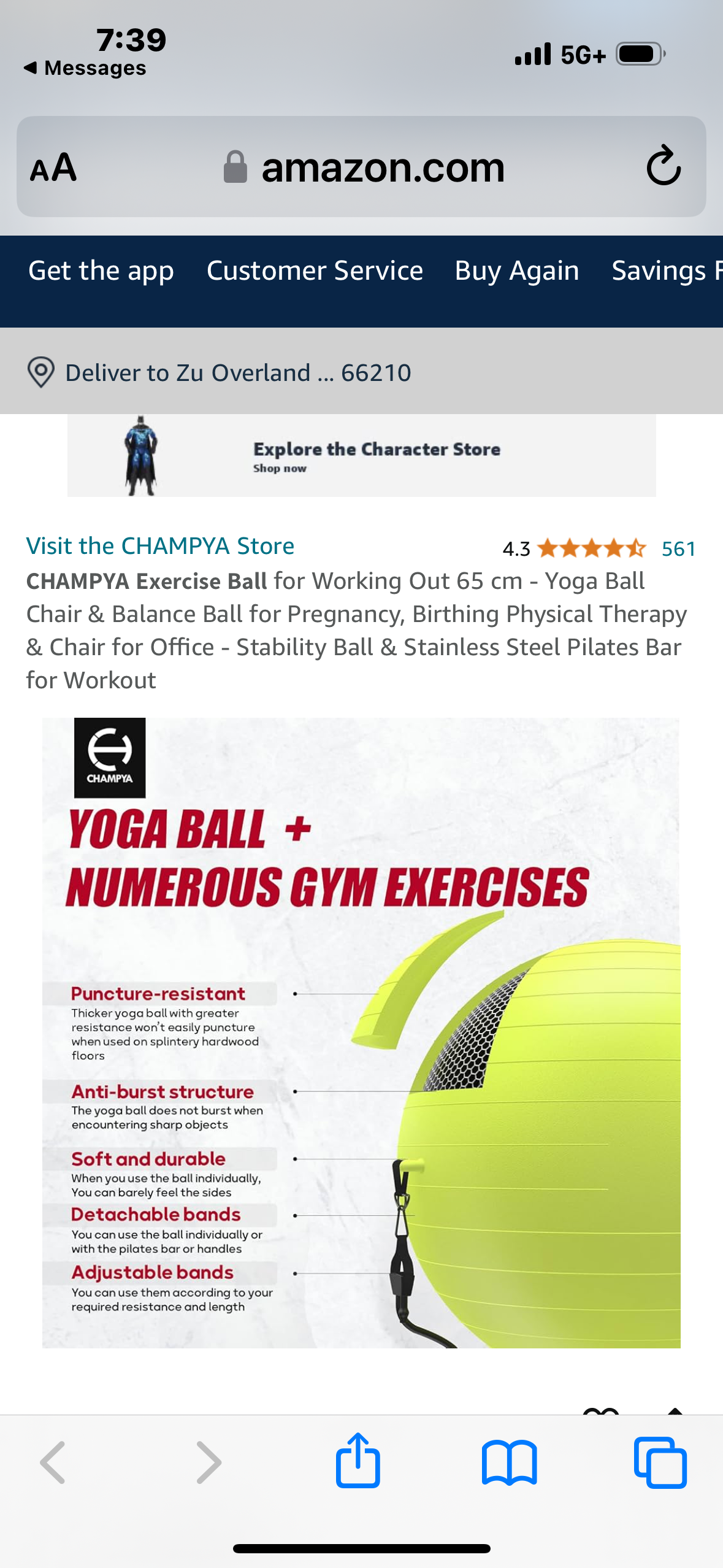 𝗖𝗛𝗔𝗠𝗣𝗬𝗔 𝗘𝘅𝗲𝗿𝗰𝗶𝘀𝗲 𝗕𝗮𝗹𝗹 for Working Out 65 cm - Yoga Ball Chair & Balance Ball for Pregnancy, Birthing Physical Therapy & Chair for Office - Stability Ball & Stainless Steel Pilates Bar for Workout