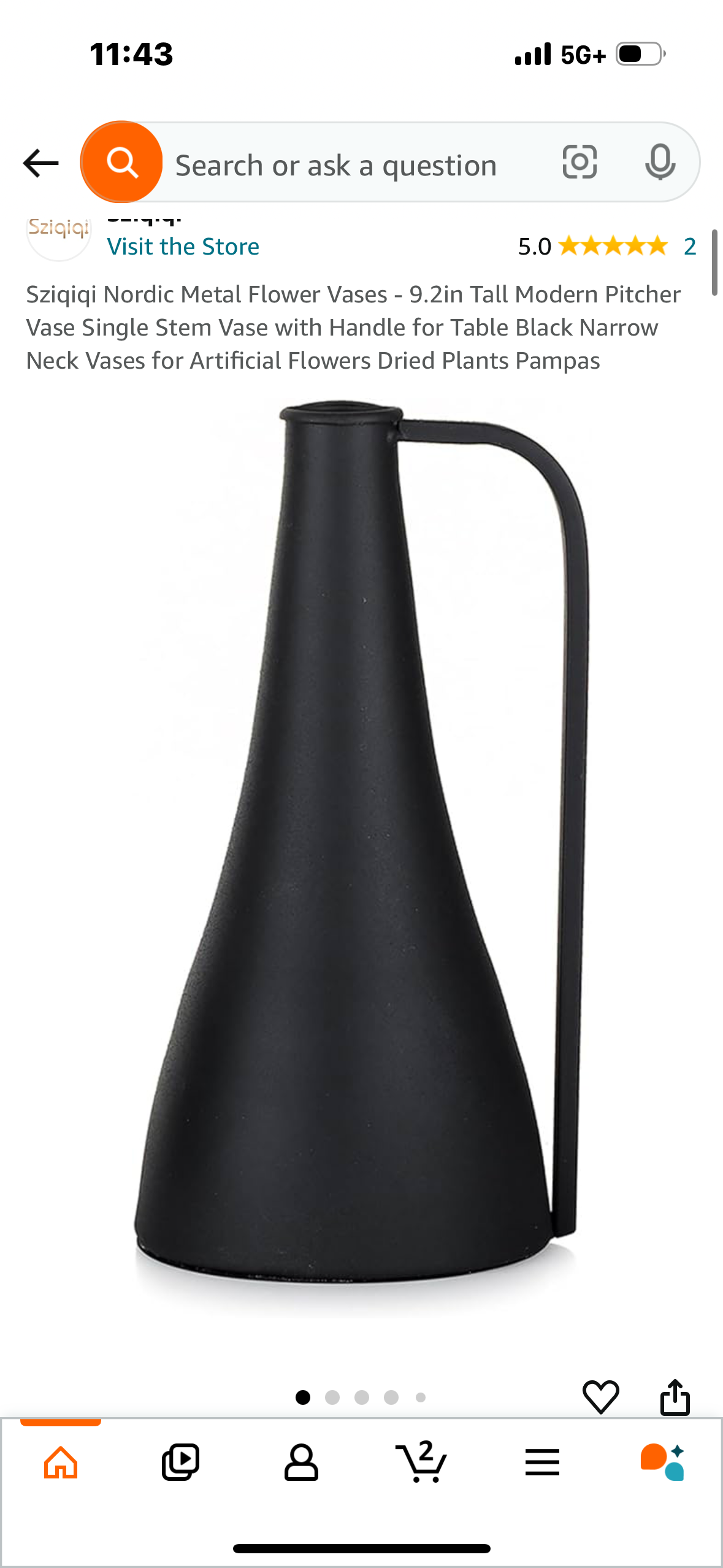 Sziqiqi Nordic Metal Flower Vases - 9.2in Tall Modern Pitcher Vase Single Stem Vase with Handle for Table Black Narrow Neck Vases for Artificial Flowers Dried Plants Pampas