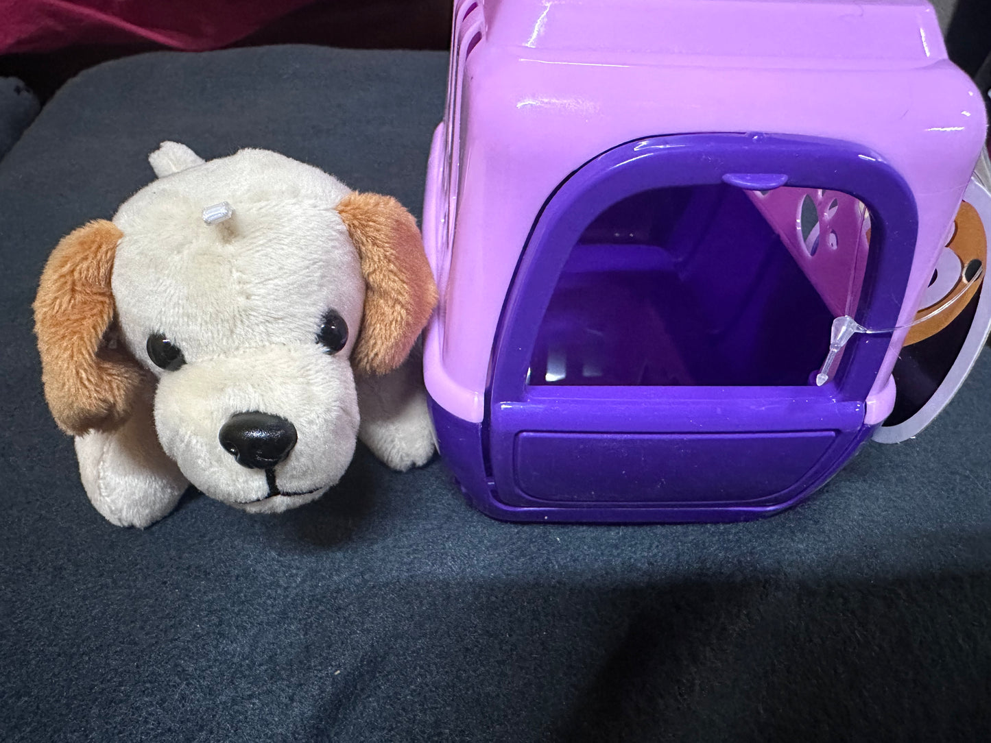 Plush Pet and Pet Carrier