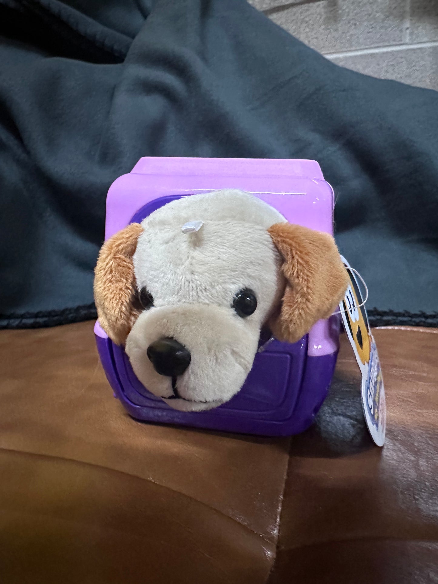 Plush Pet and Pet Carrier