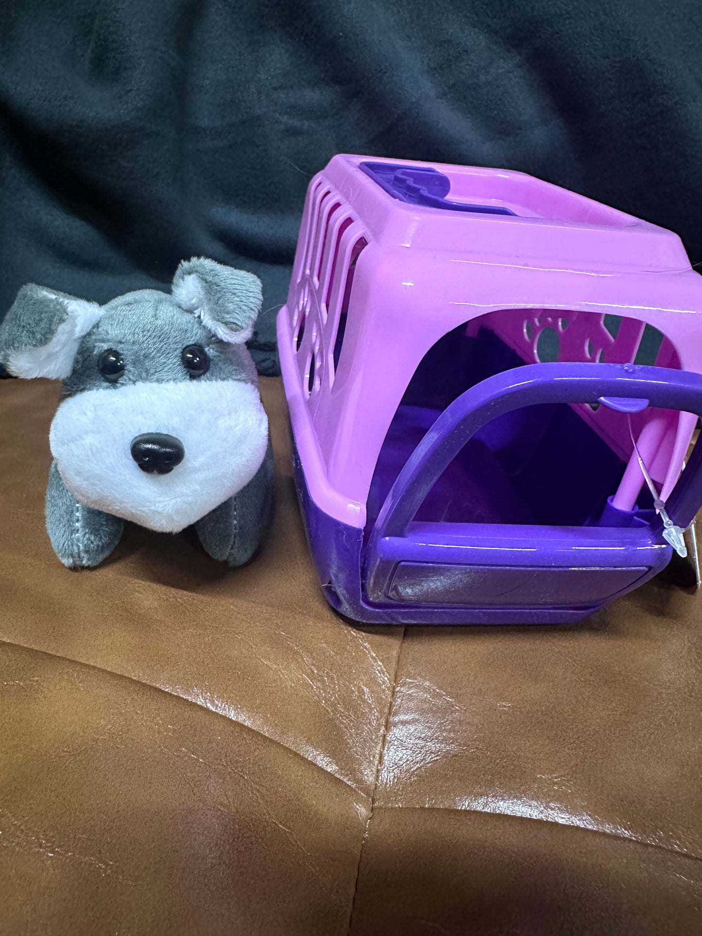 Plush Pet and Pet Carrier