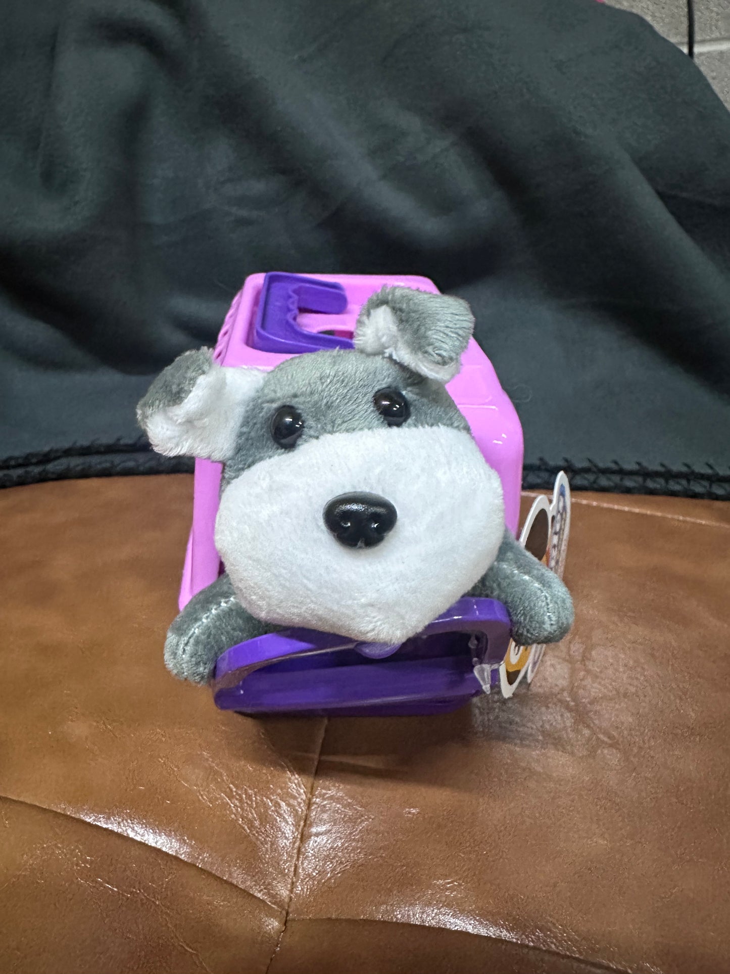 Plush Pet and Pet Carrier