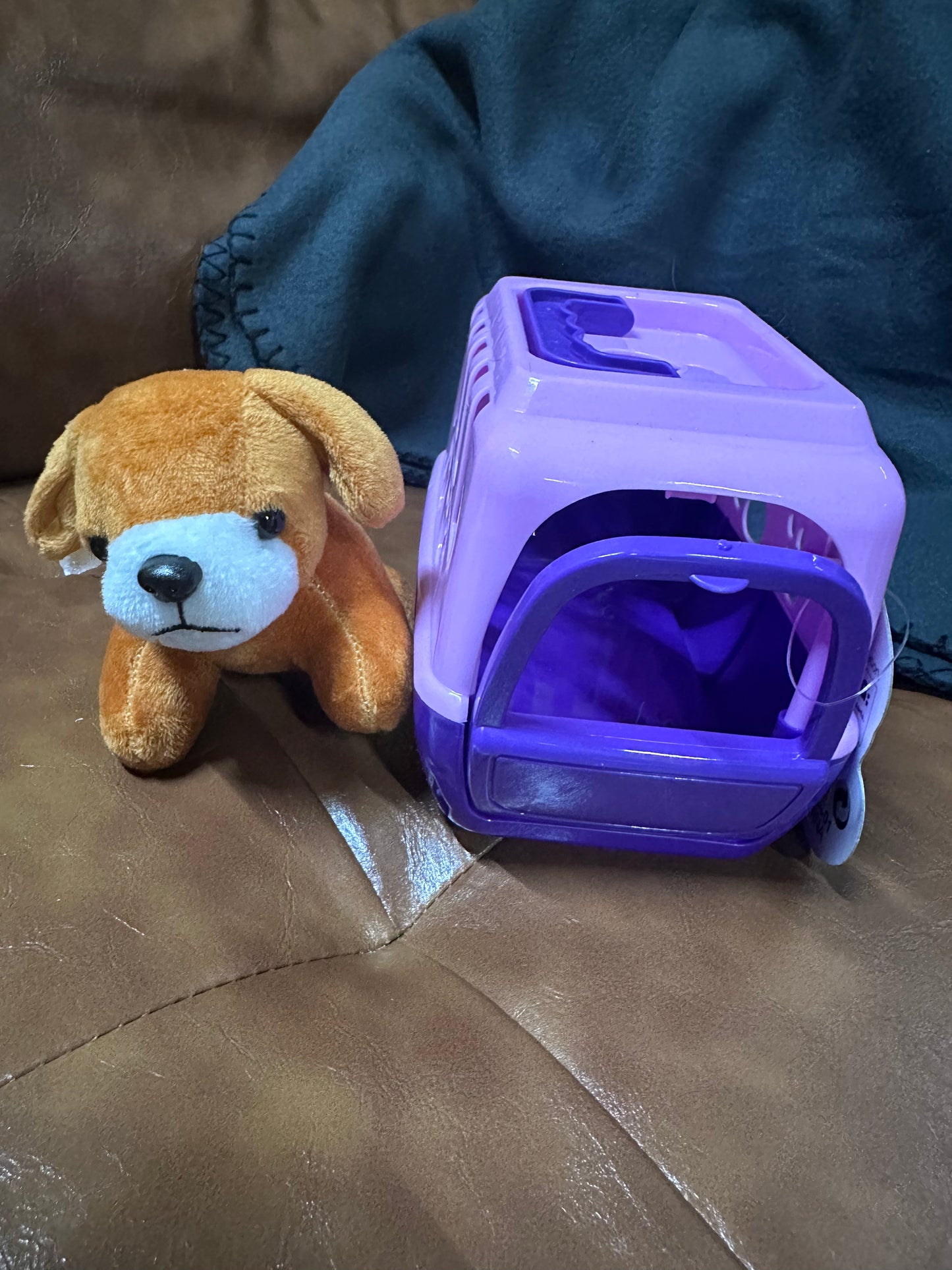 Plush Pet and Pet Carrier