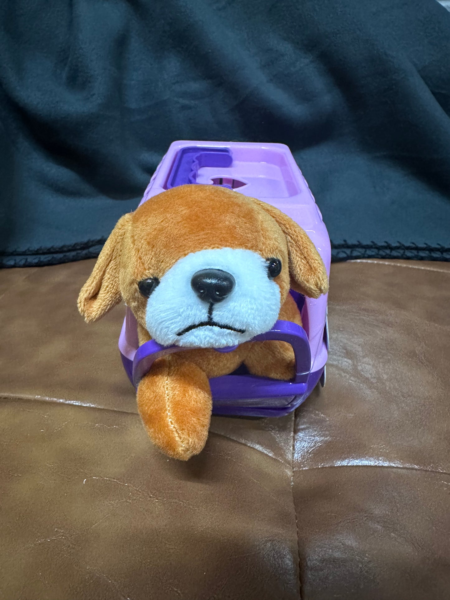 Plush Pet and Pet Carrier