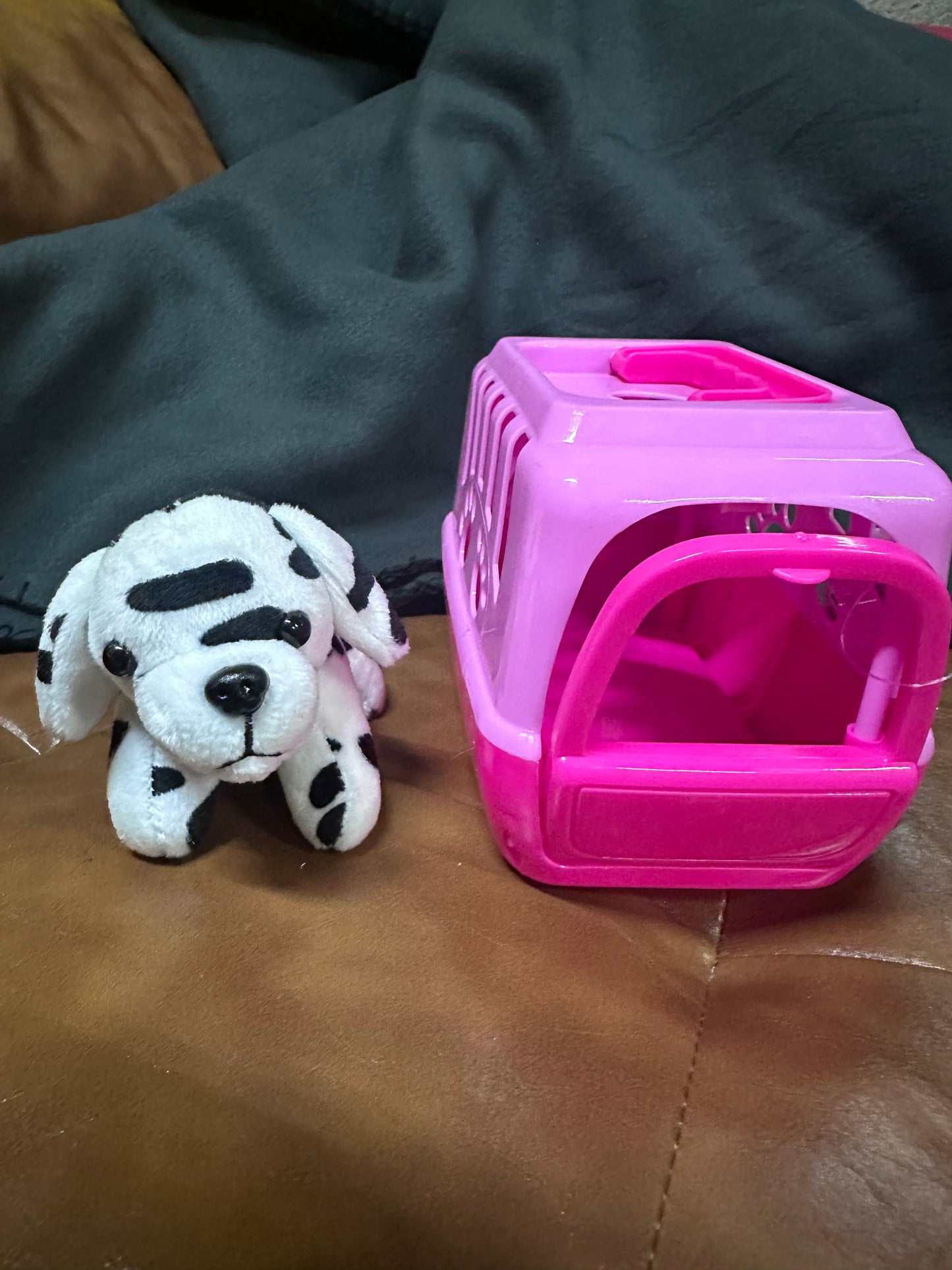 Plush Pet and Pet Carrier