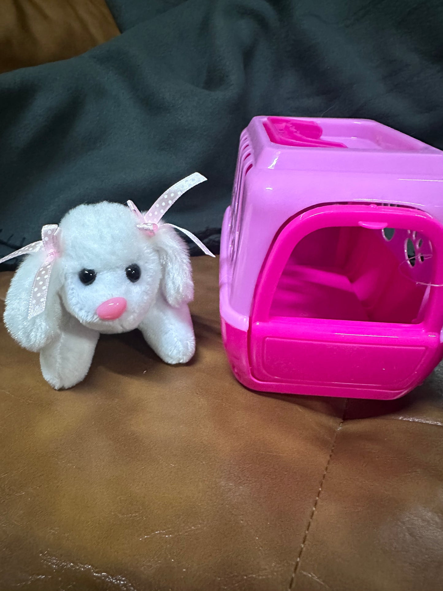 Plush Pet and Pet Carrier