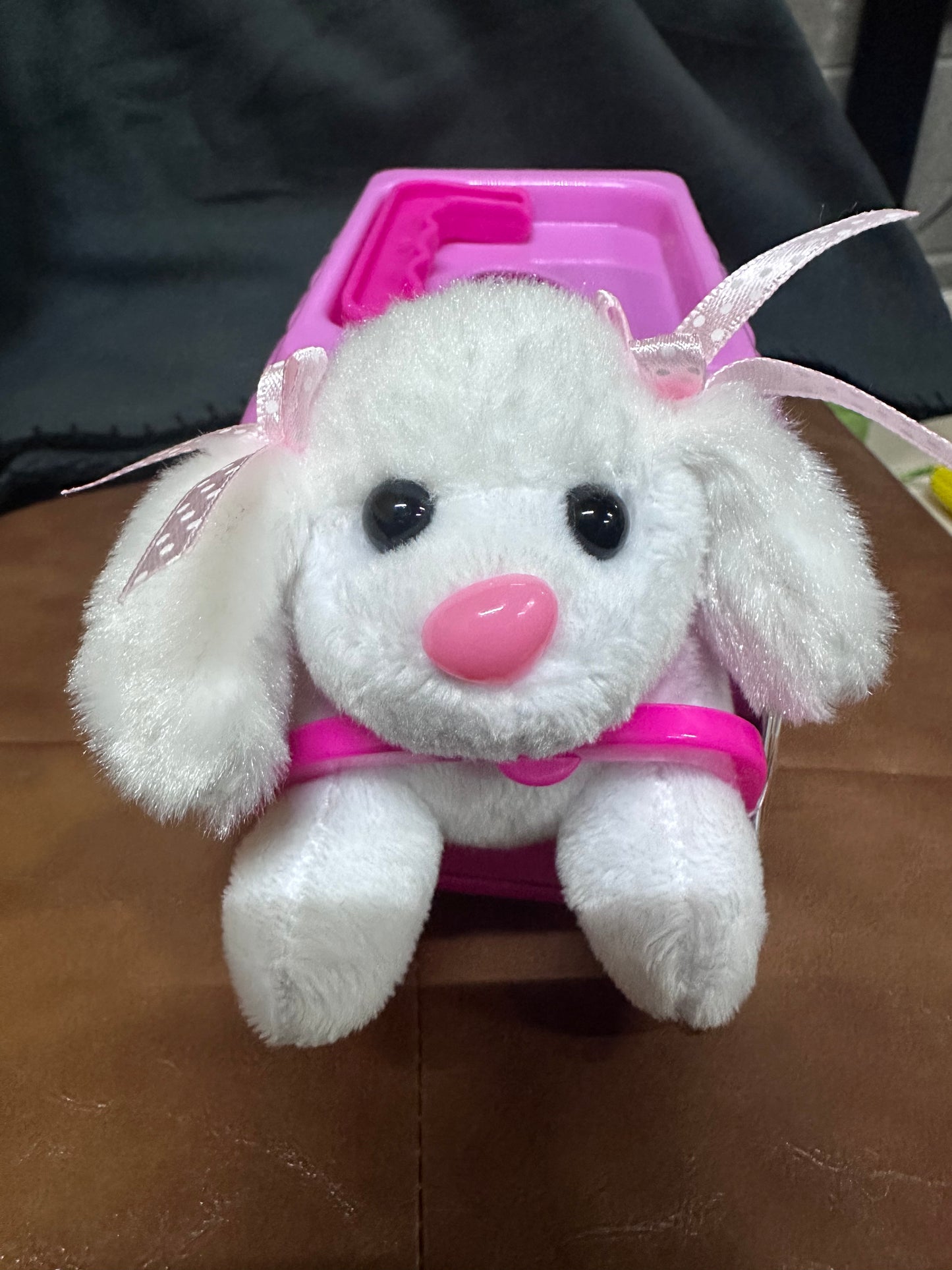 Plush Pet and Pet Carrier