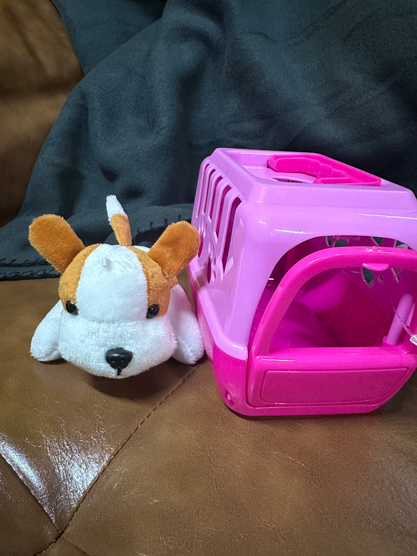 Plush Pet and Pet Carrier