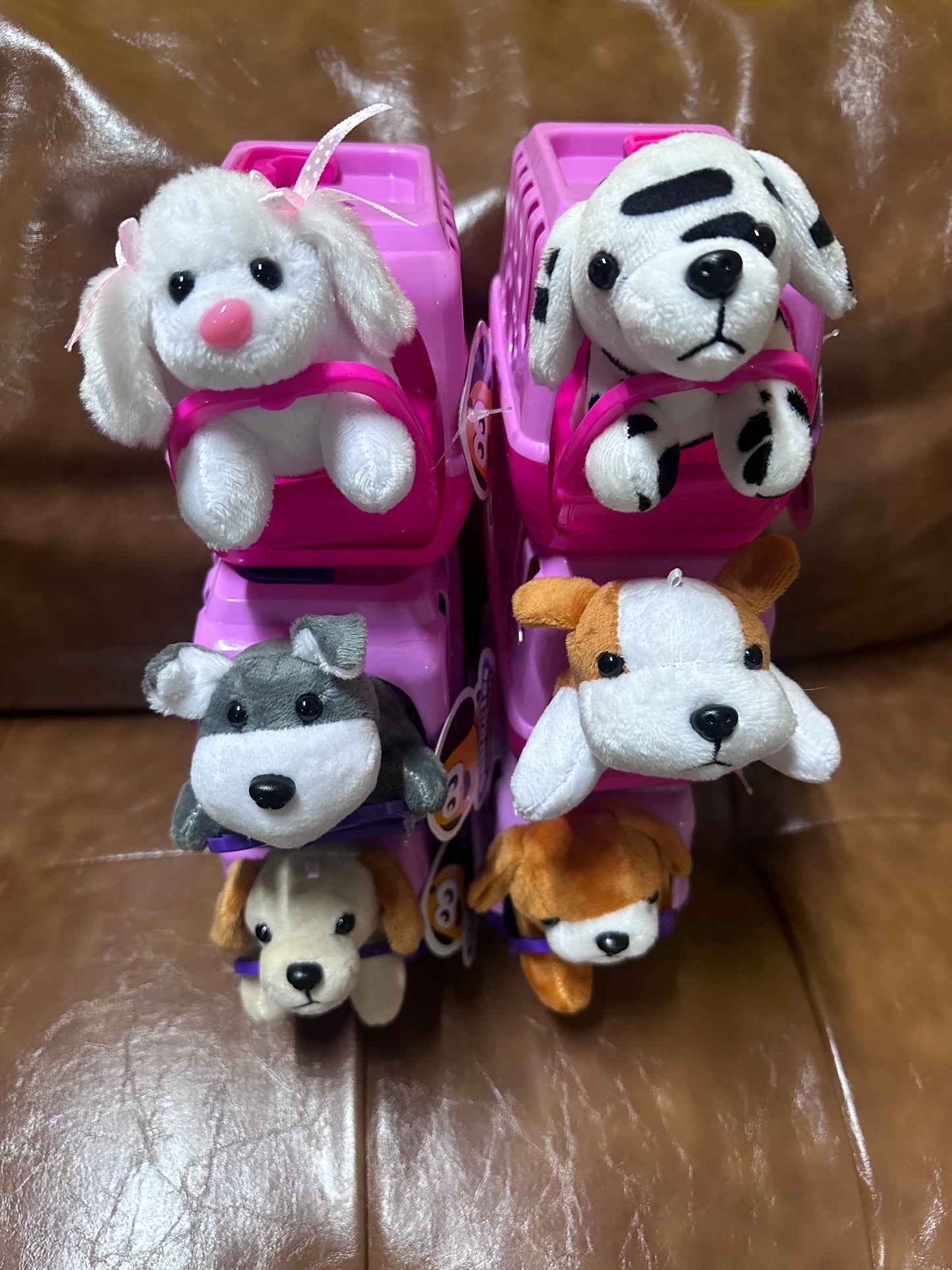 Plush Pet and Pet Carrier