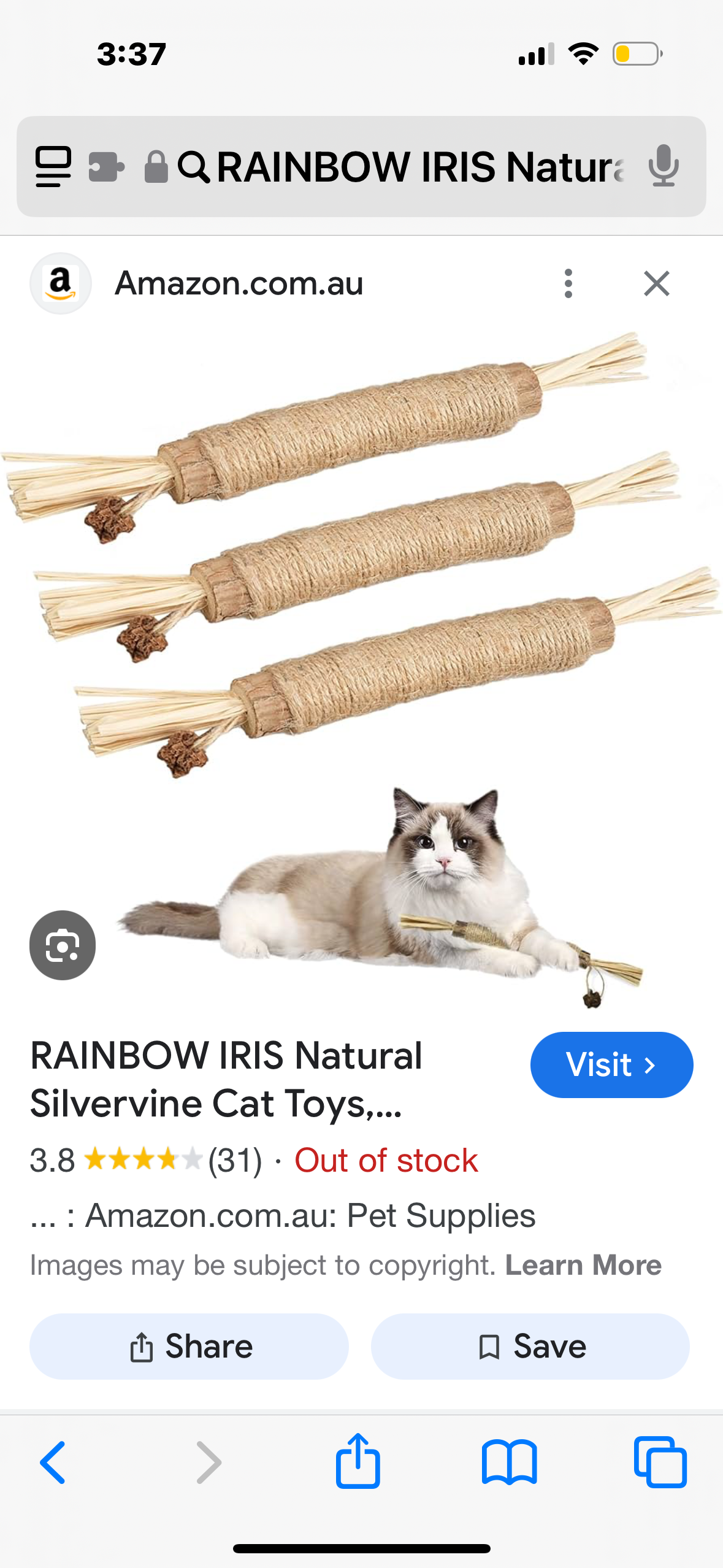 RAINBOW IRIS Natural Silvervine Cat Toys, Matatabi Cat Wand Chew Sticks, 3 Packs Cleaning Teeth Kitten Interactive Toys, Chewing Toys for Indoor Cats (silvine Chews Stick cat Toys)