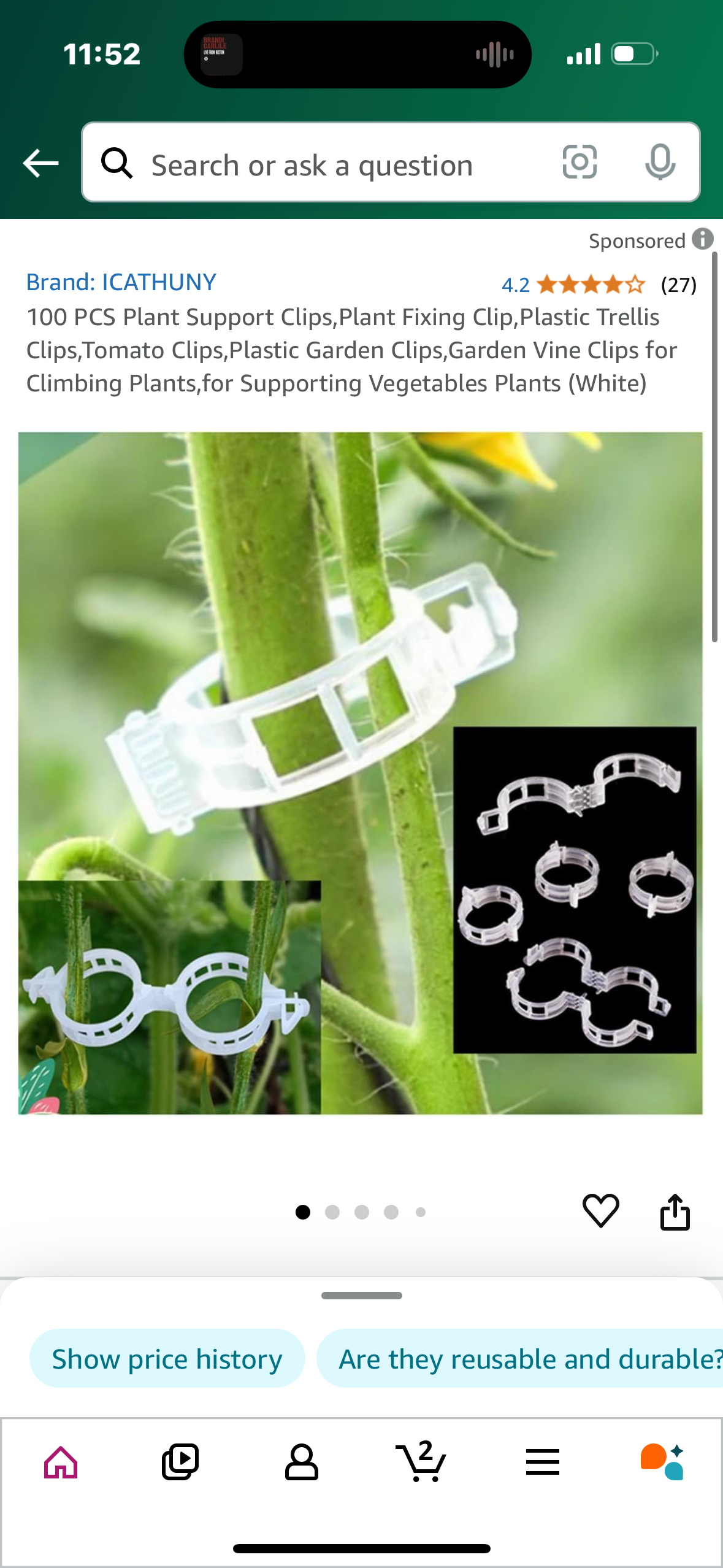 100 PCS Plant Support Clips,Plant Fixing Clip,Plastic Trellis Clips,Tomato Clips,Plastic Garden Clips,Garden Vine Clips for Climbing Plants,for Supporting Vegetables Plants (White)