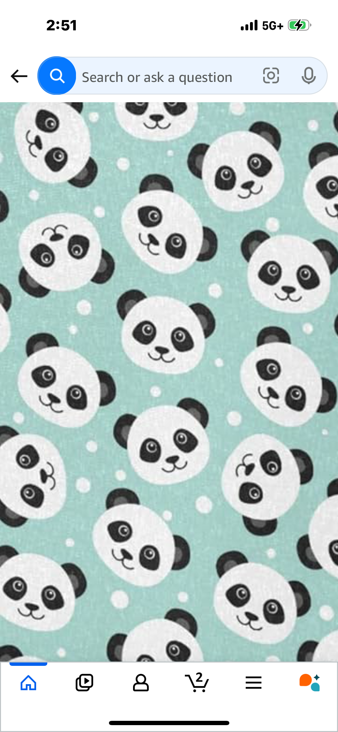 Cute Panda Pillow Case with Zippered Closure