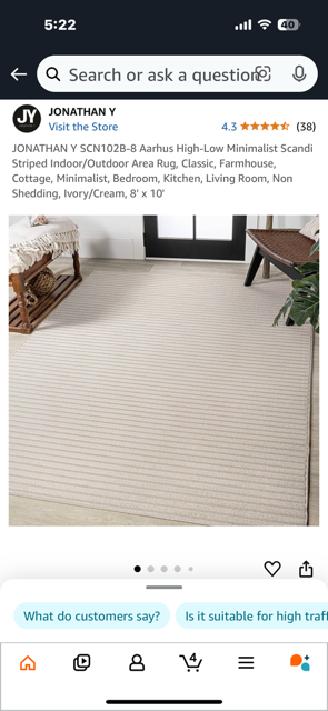 Large Beige Area Rug  10' x 7'10